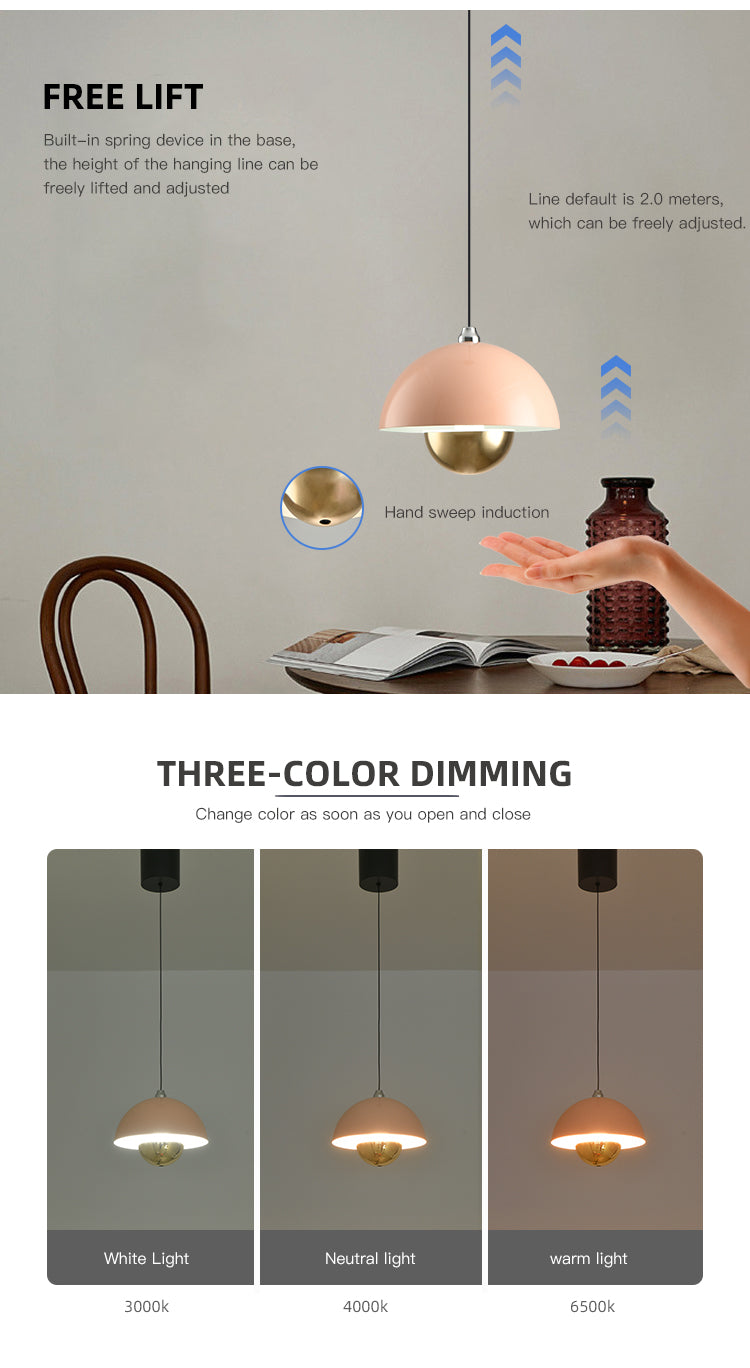 Ceiling LED Lights 11