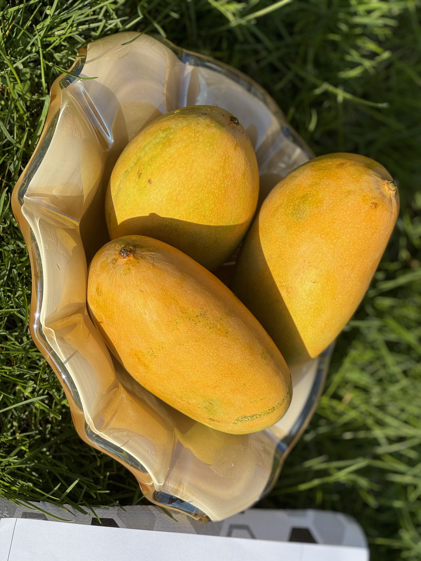 Mallika Mangoes