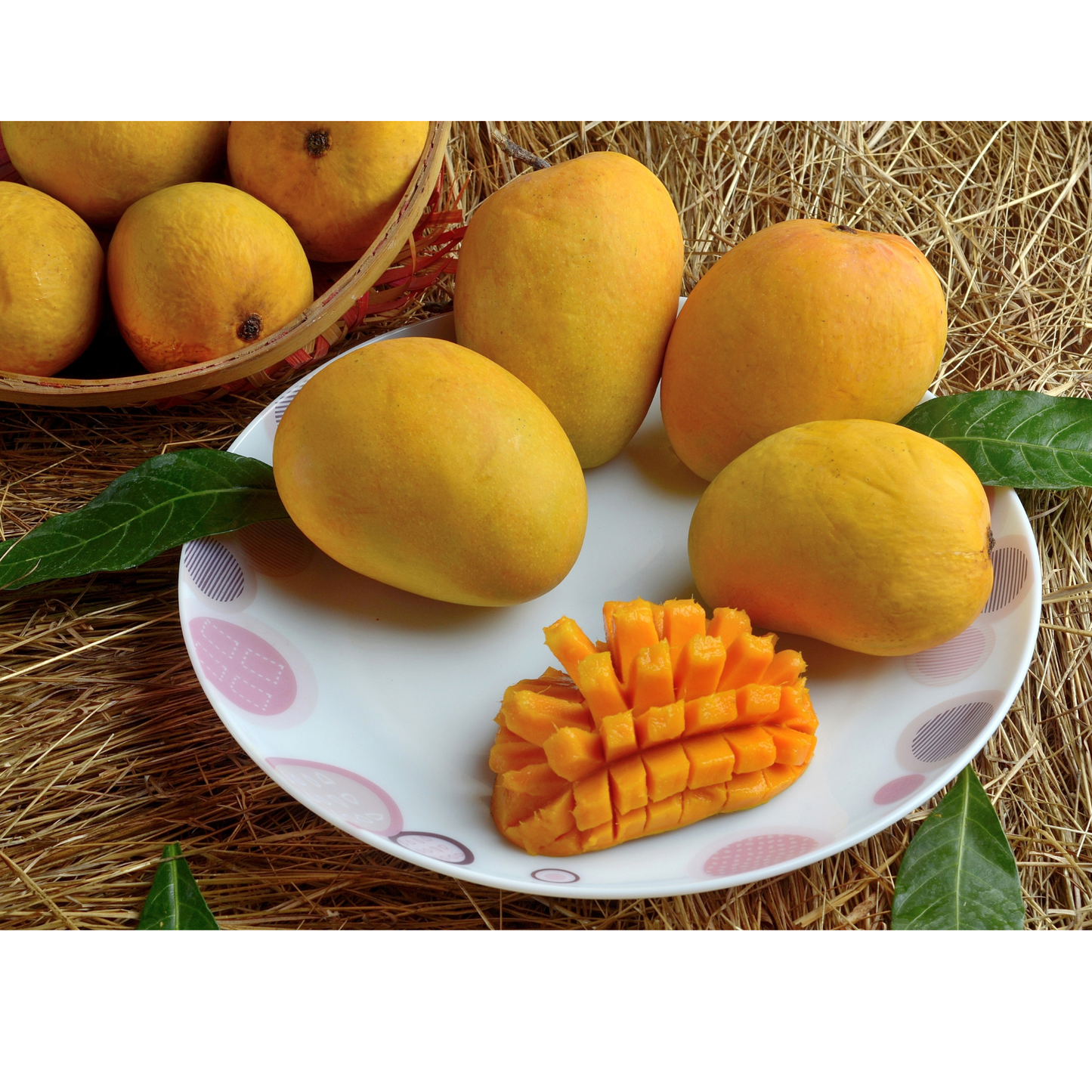 Alphonso Mangoes