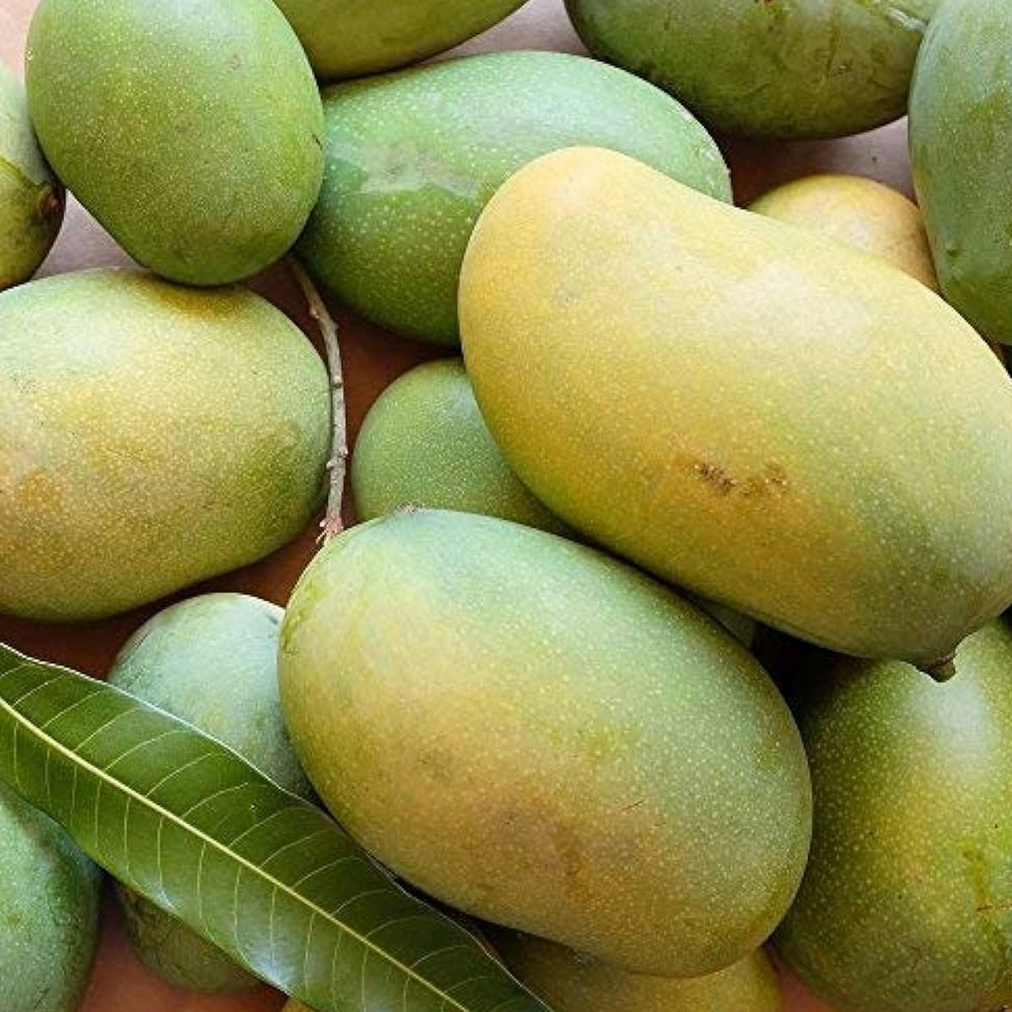 Mallika Mangoes