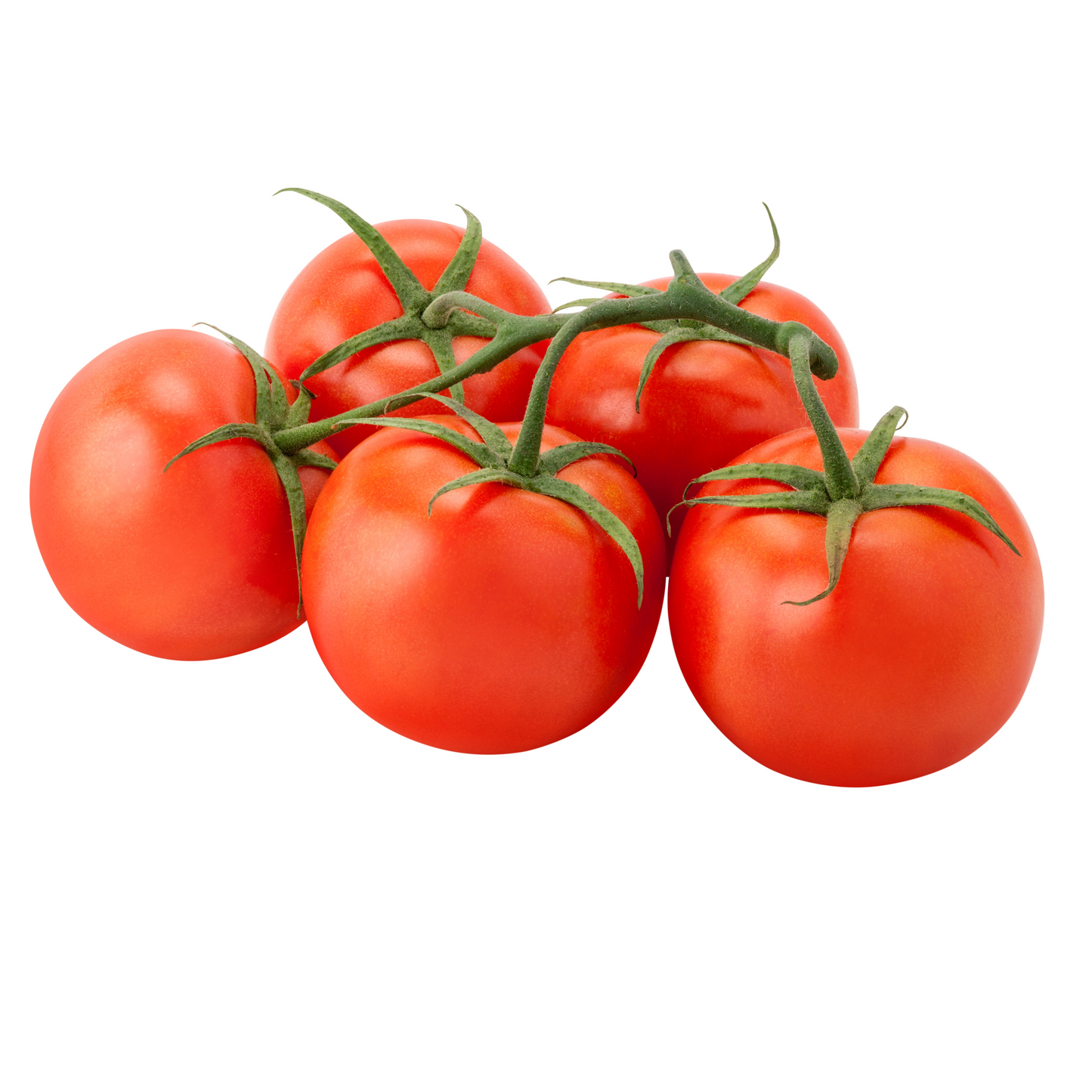 Fresh from the Vine: Discover Premium Vine-Ripened Tomatoes