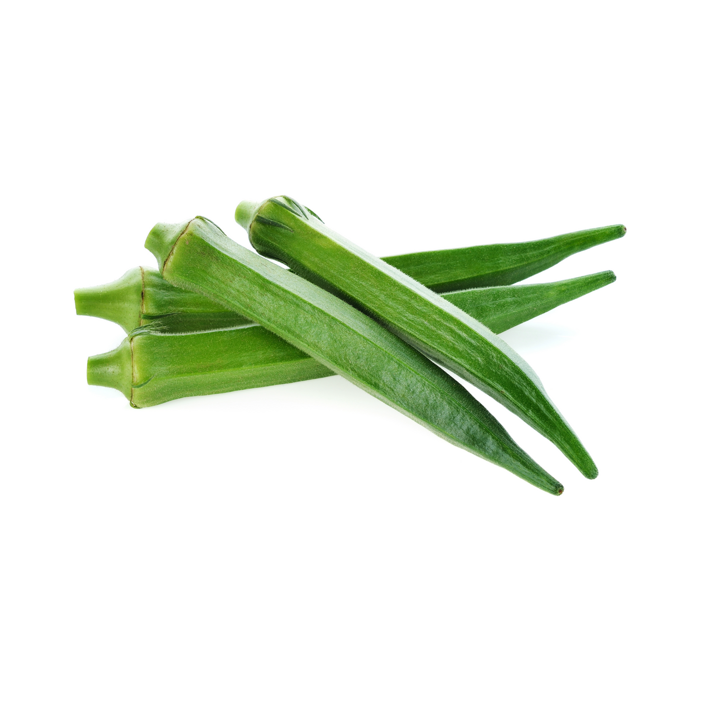 Okra