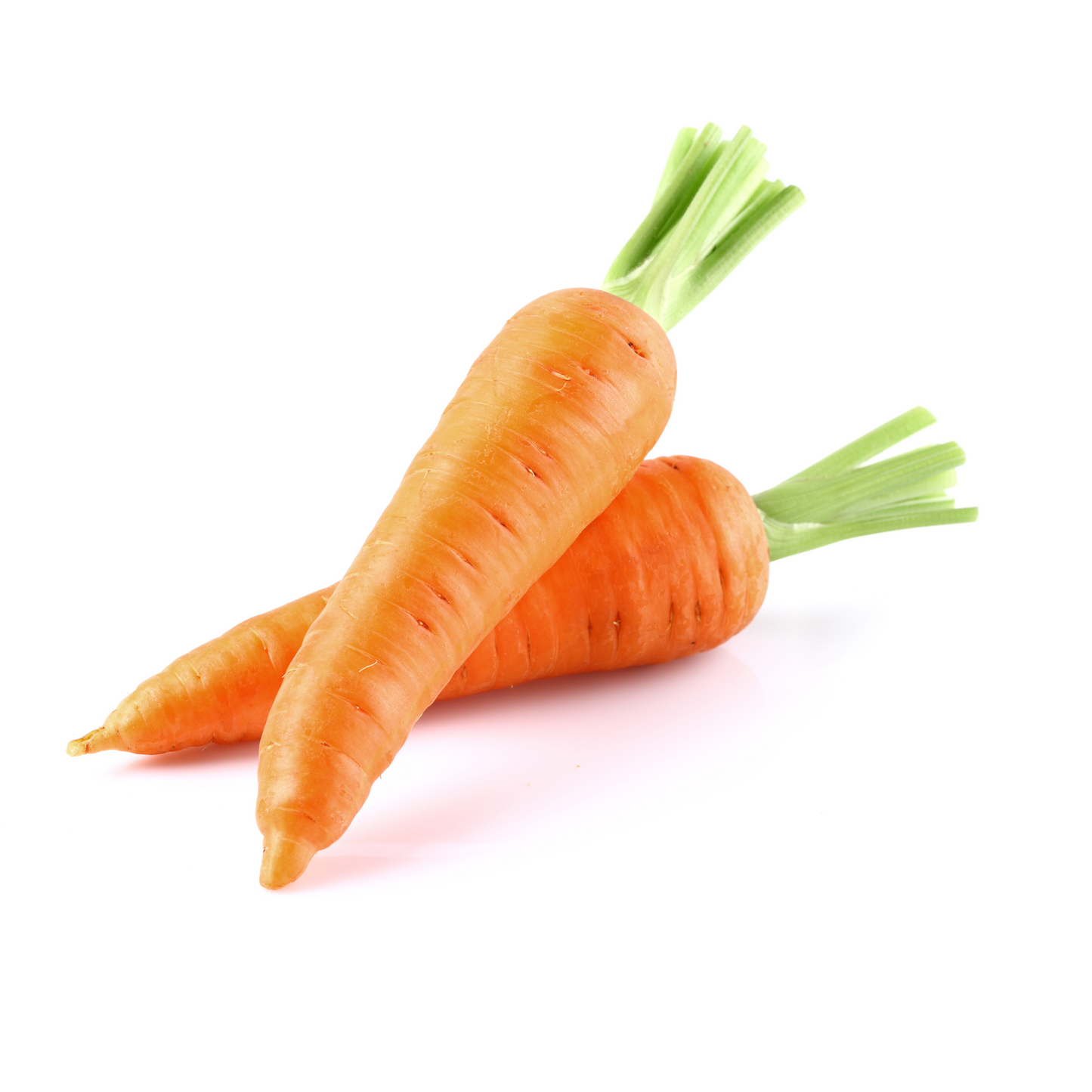 Carrot