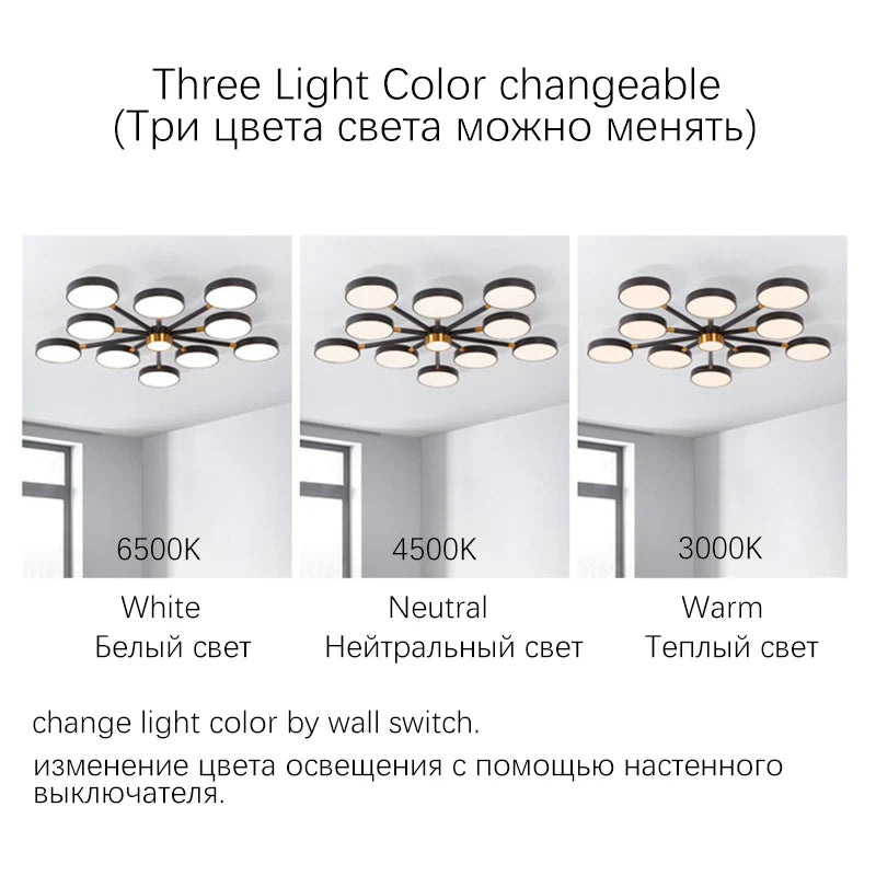 LED Chandelier For Living Room Bedroom, LED Ceiling Lights, 3 Color Light Changeable