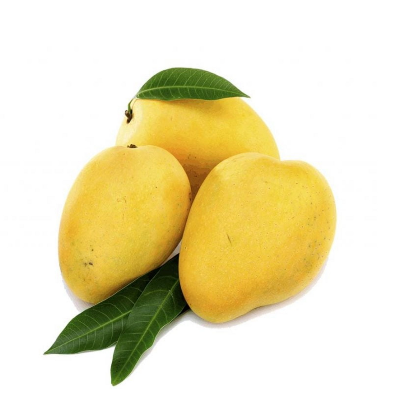 Dasheri Mangoes 2 Box of 3 KG total 6 KG